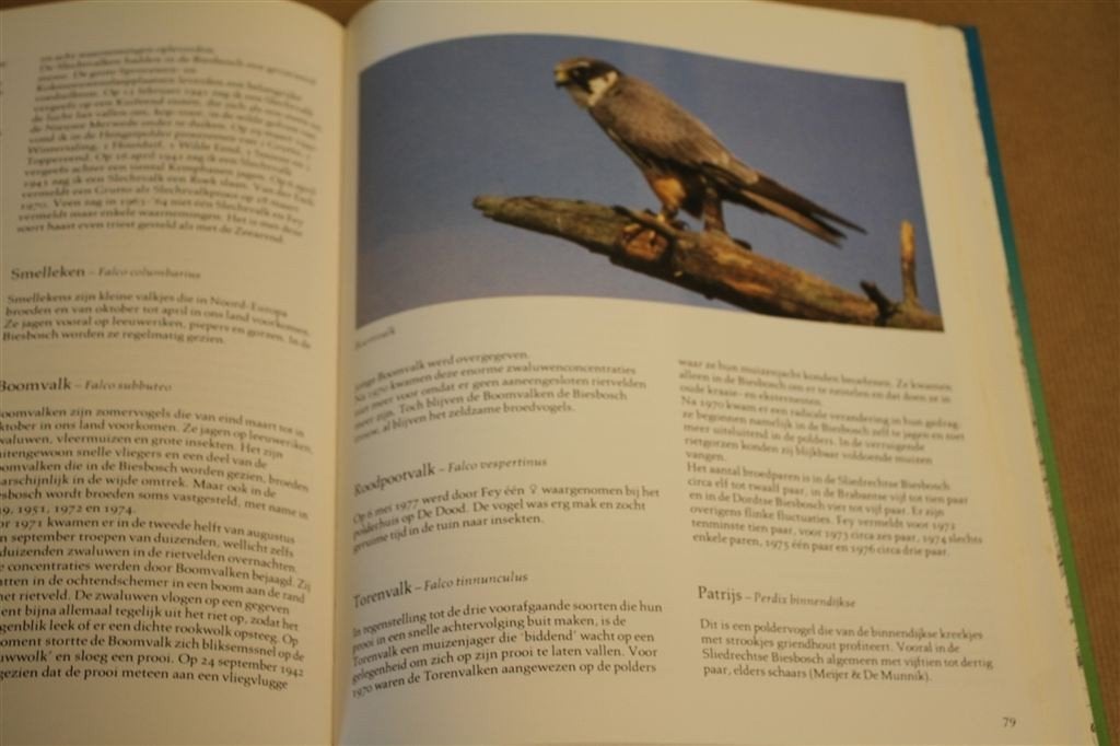 Biesbosch-vogels. Jubileumuitgave 80 jaar Vogelbescherming., Ophalen of Verzenden, Gelezen, Vogels