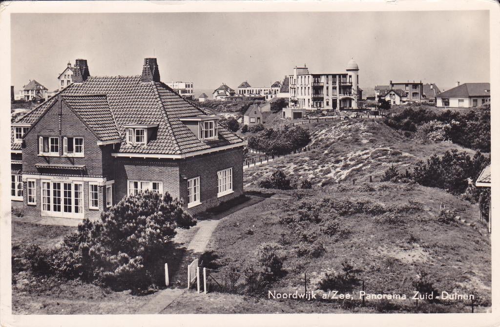 Noordwijk aan Zee.  Panorama Zuid-Duinen. (1954), Verzenden, 1940 tot 1960, Gelopen, Zuid-Holland