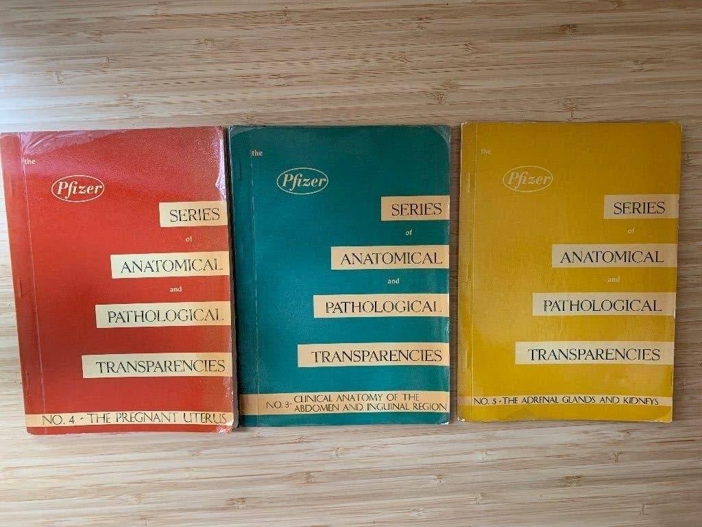 The Pfizer Series Anatomical and Pathological Transparencies, Ophalen of Verzenden, Gelezen, Natuurwetenschap