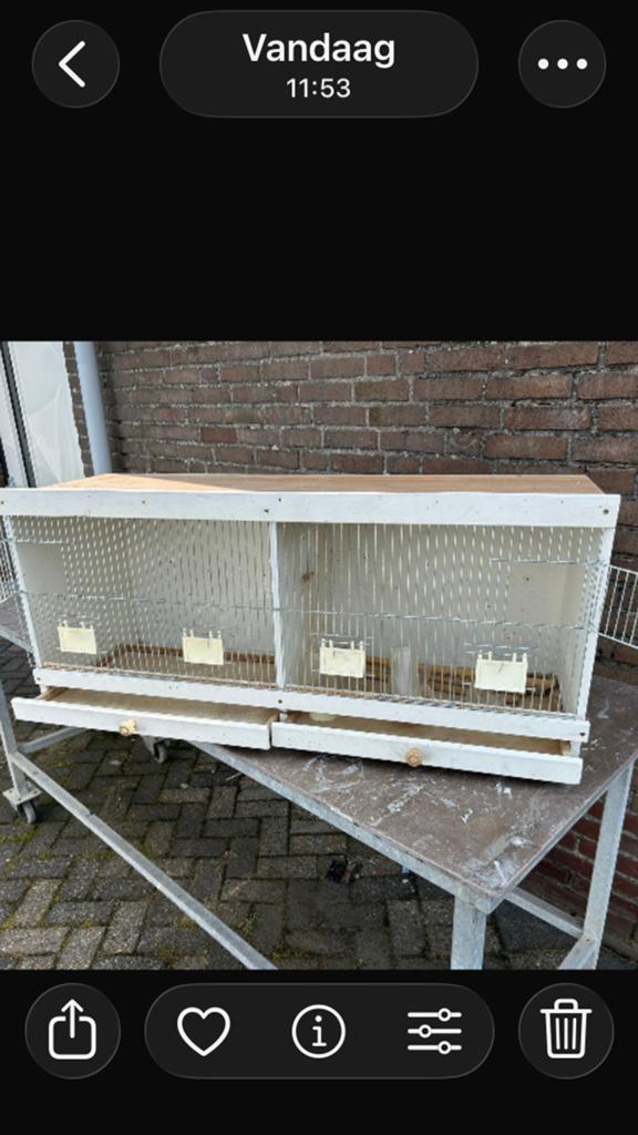 Vogelkooi, Dieren en Toebehoren, Vogels | Hokken en Kooien, Ophalen of Verzenden, Zo goed als nieuw, Metaal, Vogelkooi