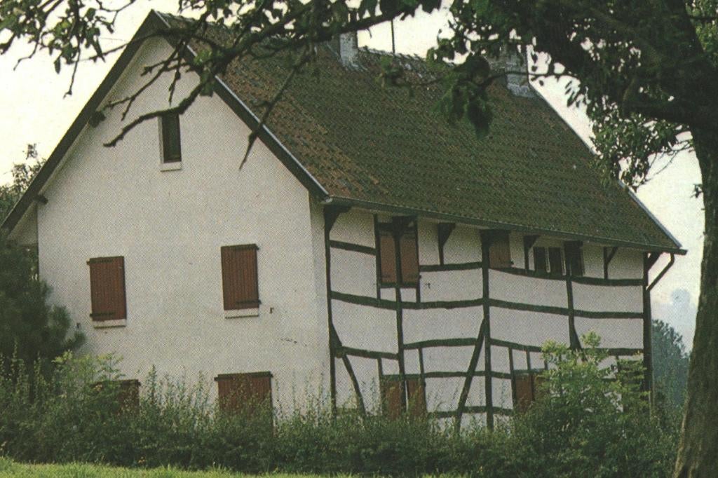 993266 Vakwerkhuisje 80+ Limburg _ mooie postzegel Drees, Ophalen of Verzenden, 1980 tot heden, Gelopen, Noord-Brabant