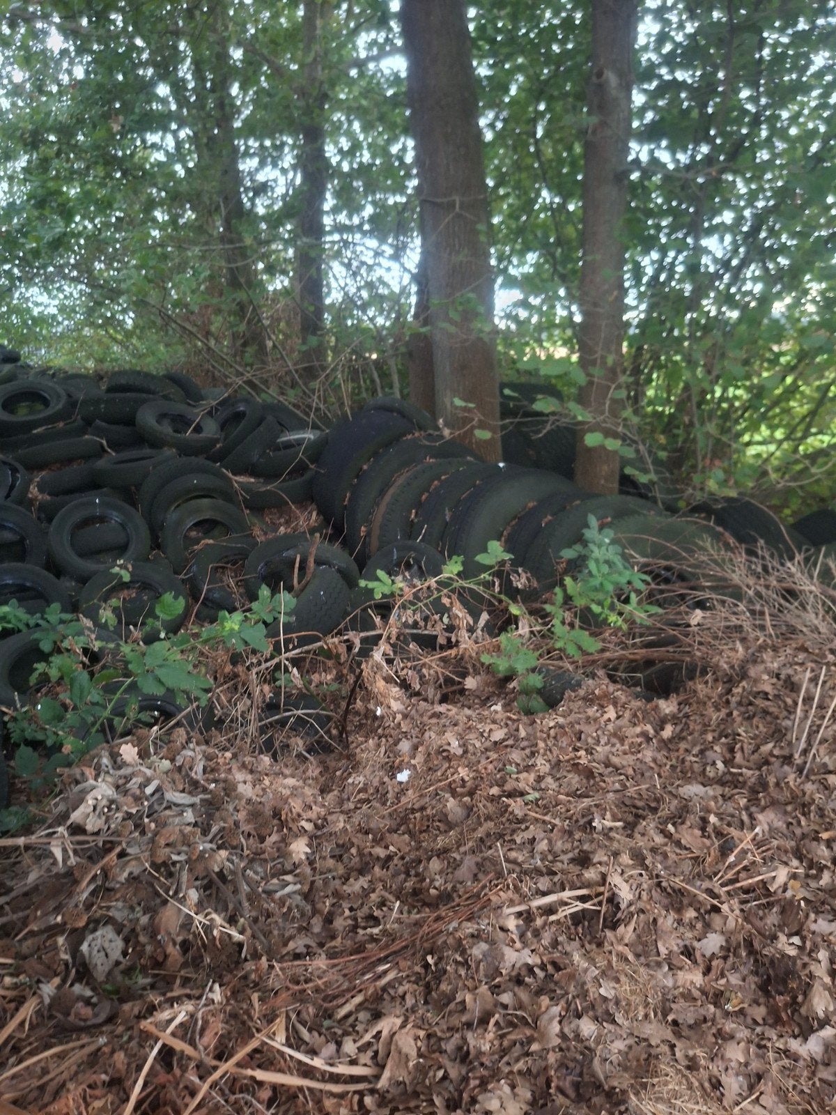 Gratis af te halen autobanden voor bijv. op grastuin, Tuin en Terras, Ophalen