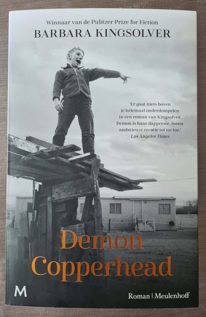 Barbara Kingsolver - Demon Copperhead, Ophalen of Verzenden, Zo goed als nieuw, Amerika
