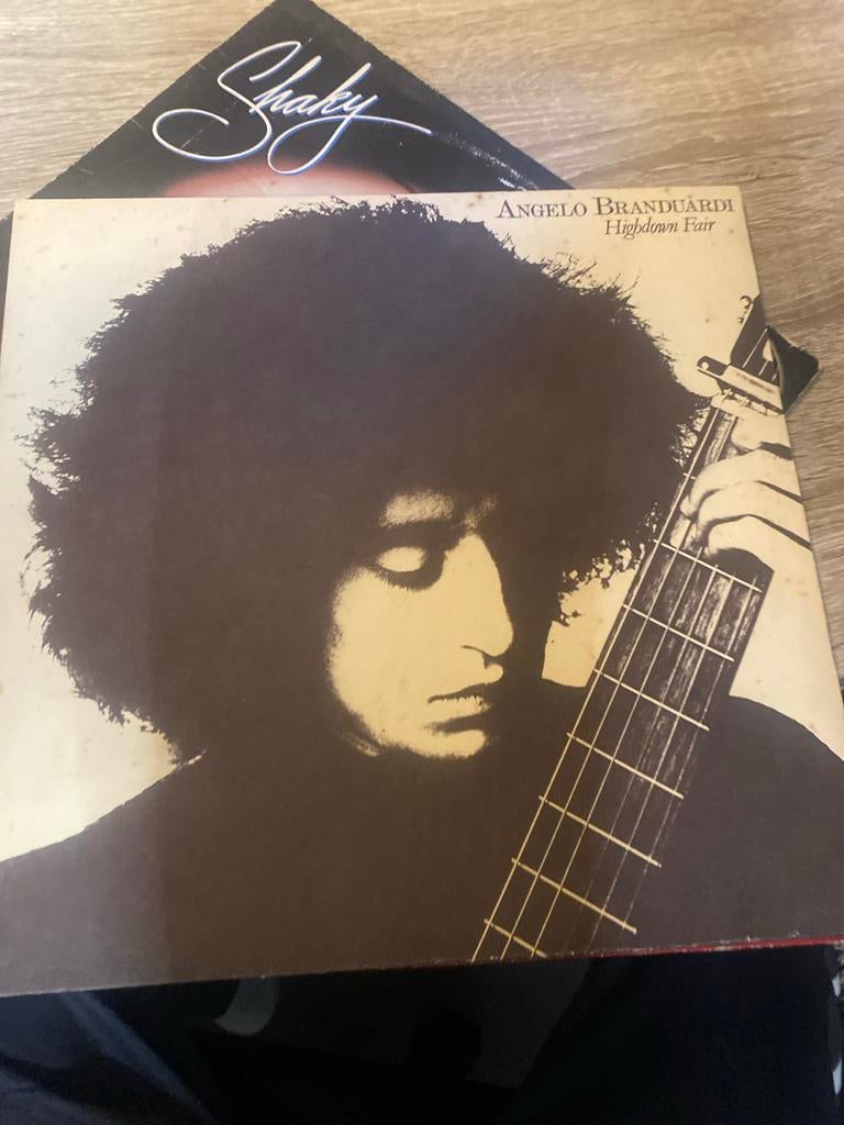 Angelo Branduardi - Highdown Fair LP Vinyl, Ophalen of Verzenden, 1970 - 1979, Gebruikt, 12 inch