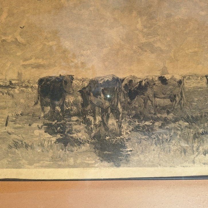 Ets van Willem Maris -graadt v roggen Koeien in Landschap (, Antiek en Kunst, Kunst | Etsen en Gravures, Ophalen of Verzenden
