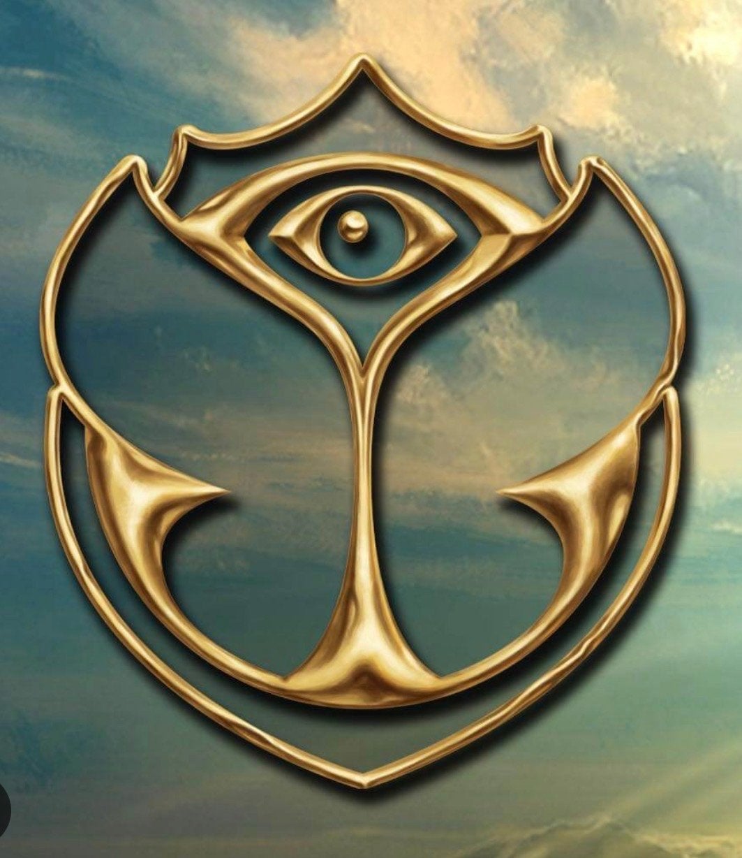 Tomorrowland W1 1x versuz Comfort Great Library stage FRIDAY, Tickets en Kaartjes, Evenementen en Festivals, Eén persoon