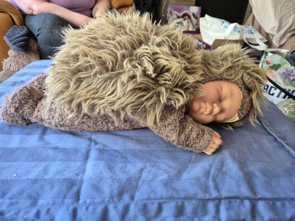 Anne Geddes Egel Baby Knuffelpop, Overige merken, Overige karakters, Overige typen, Ophalen of Verzenden