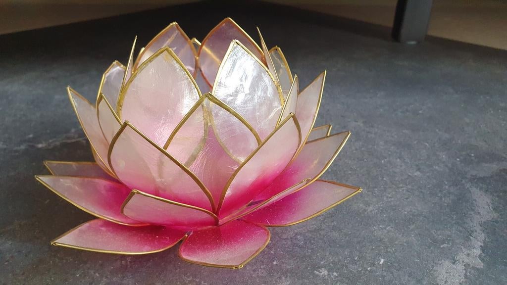 Lotus Sfeerlicht Roze/Lichtroze, Overige materialen, Ophalen of Verzenden, Zo goed als nieuw, Overige kleuren