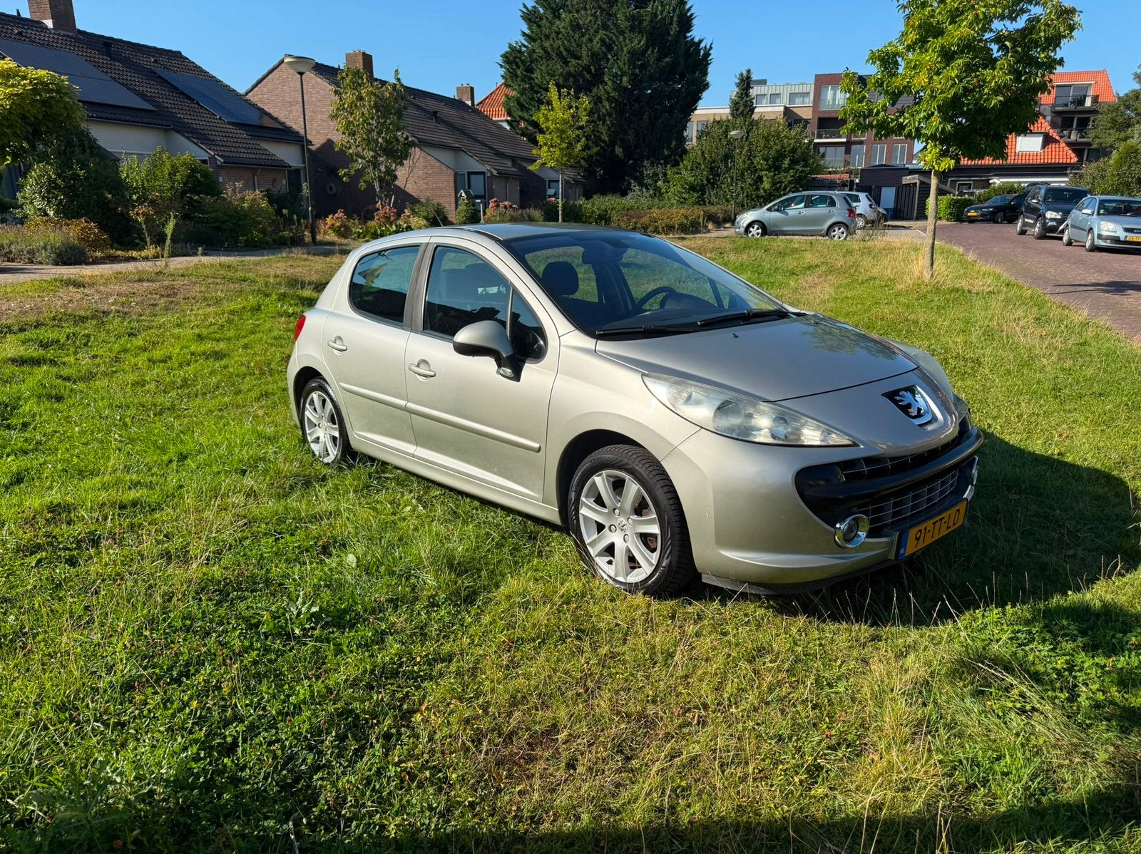 Peugeot 207 1.6 16V 5DRS 2007 Grijs, Voorwielaandrijving, Zwart, Handgeschakeld, 1587 cc