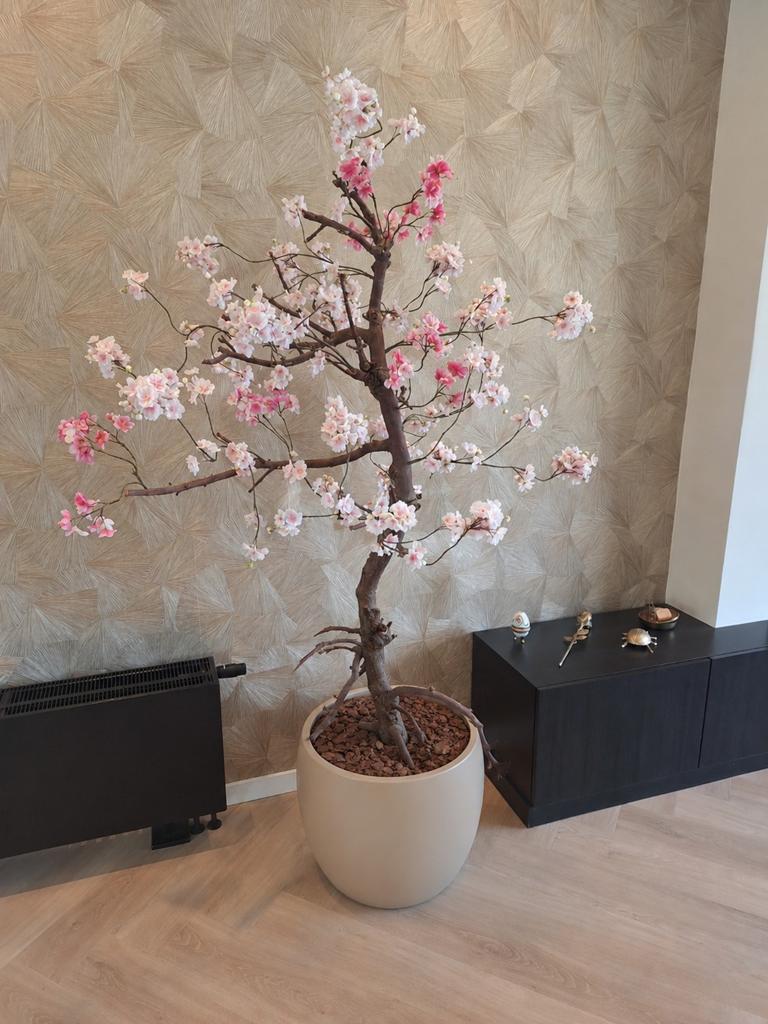 Bloesemboom 190 cm op echte stam met Silk-ka zijden takken, Ophalen, Gebruikt
