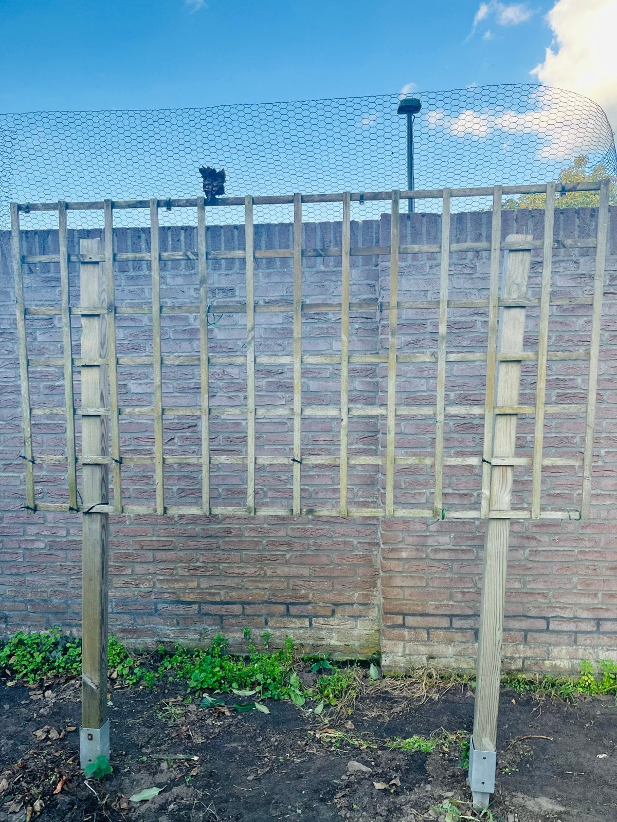 Houten tuinhekwerk met palen en gaas, Tuin en Terras, Ophalen, Gebruikt, Hout, Tuinhek