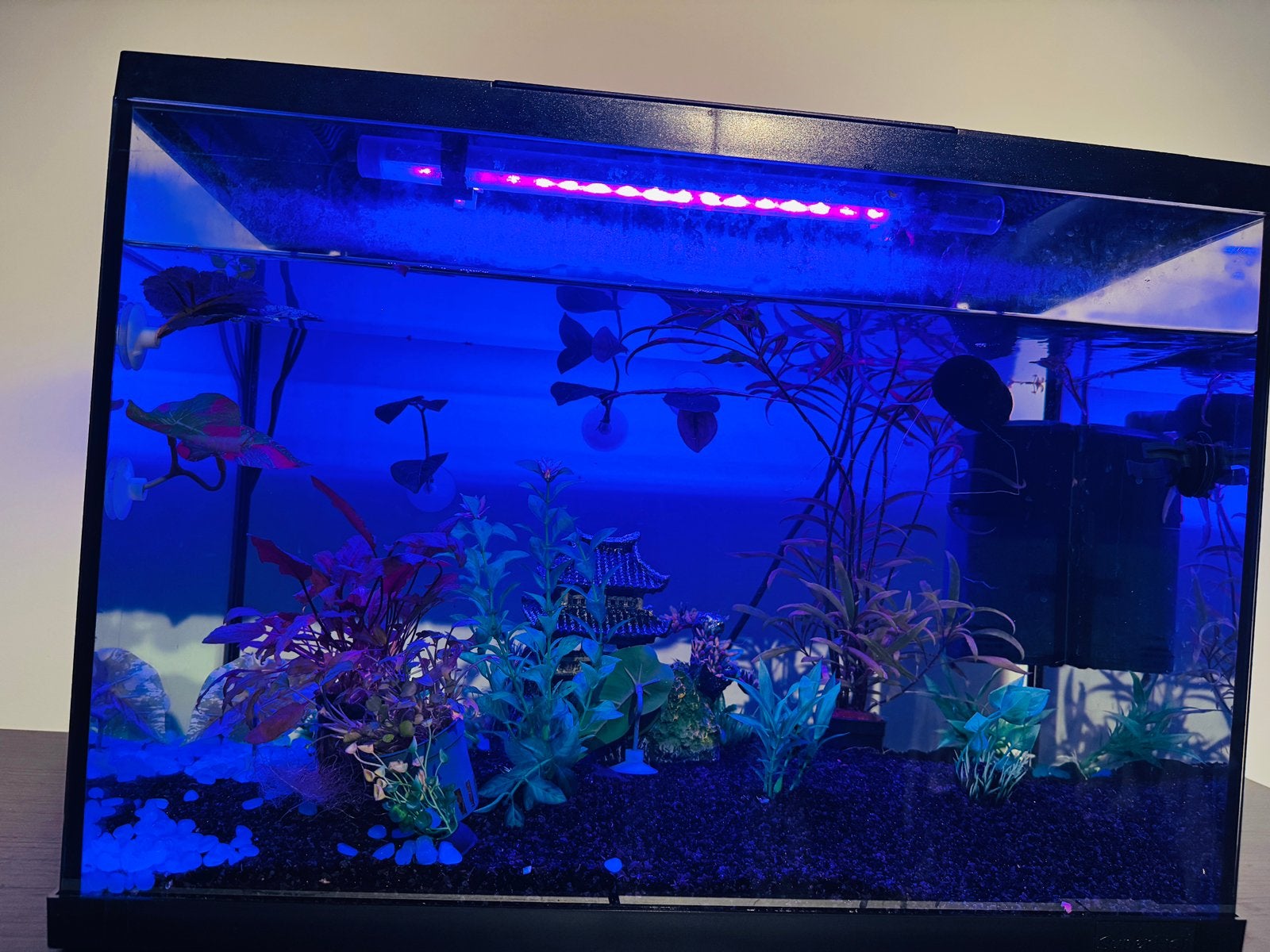 60L Aquarium Compleet – LED + Kleuren LED, Filter, Ophalen, Gebruikt, Overige typen, Superfish