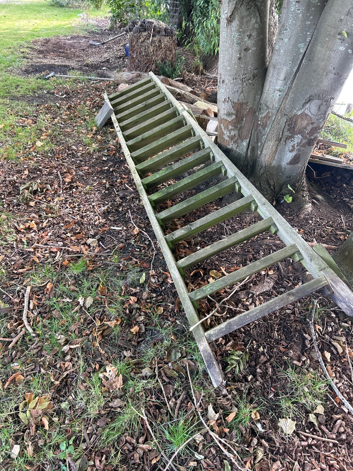 Houten ladder/trap met 16 treden, Ophalen, Gebruikt, Ladder, 4 meter of meer