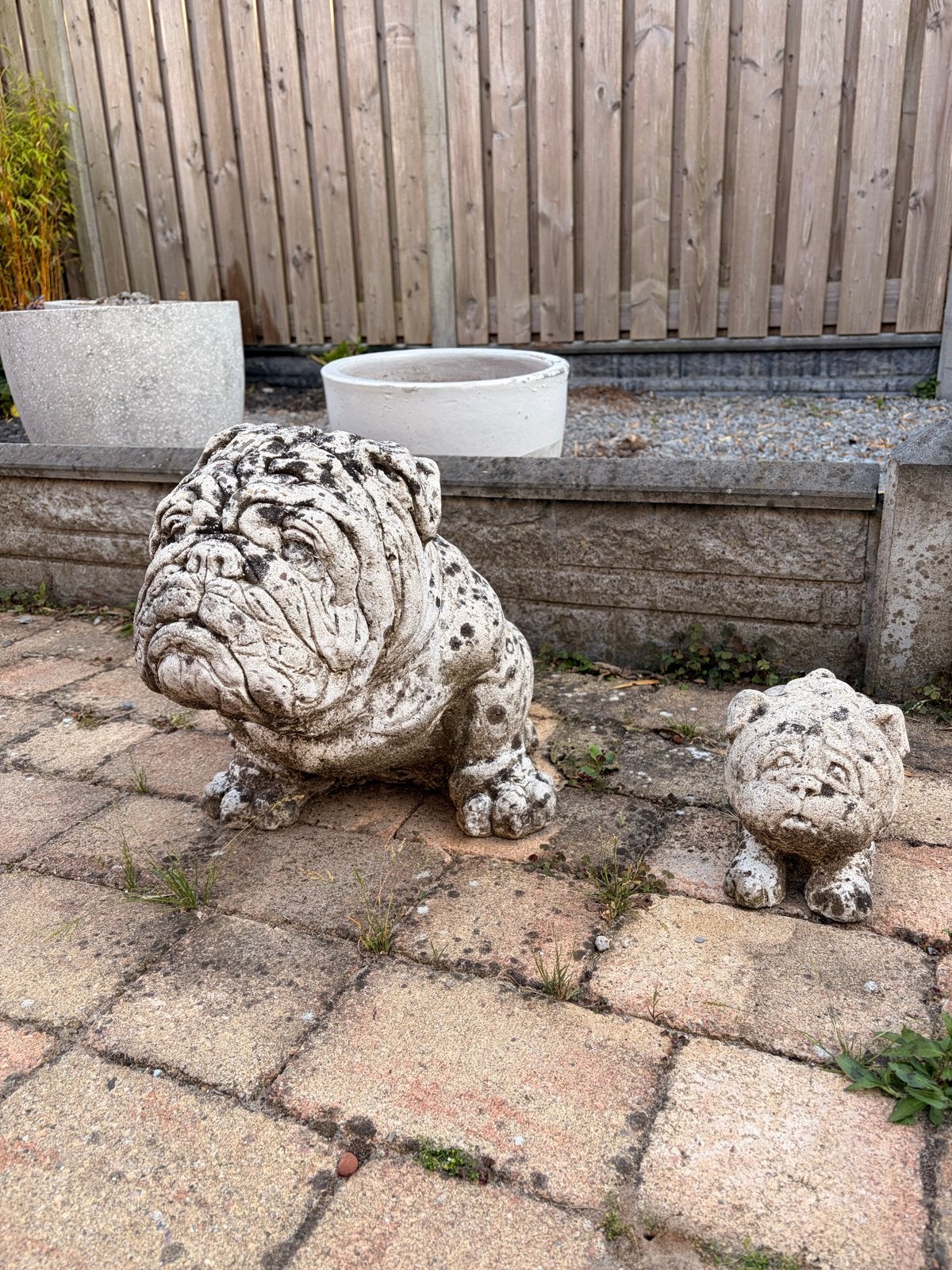 Set van 2 betonnen bulldog beelden voor tuin of terras, Tuin en Terras, Ophalen, Gebruikt, Beton, Dierenbeeld