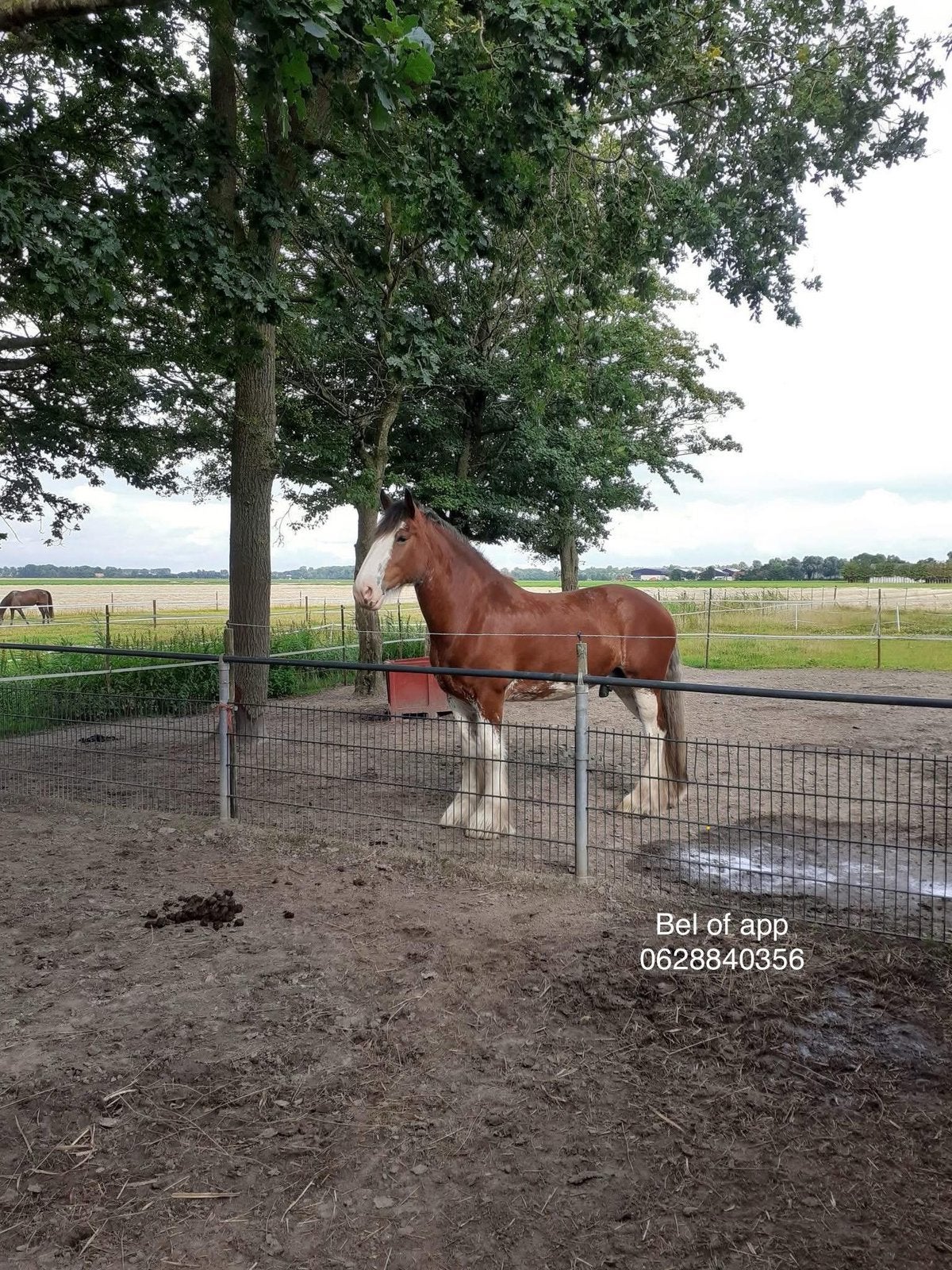 Stal en weidegang
