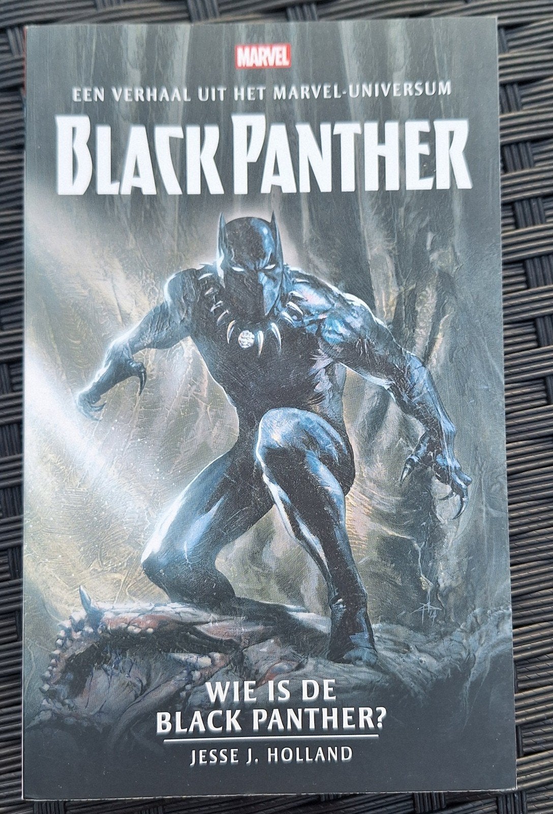 Black Panther leesboek NL, Eén comic, Ophalen of Verzenden, Nieuw, Japan (Manga)
