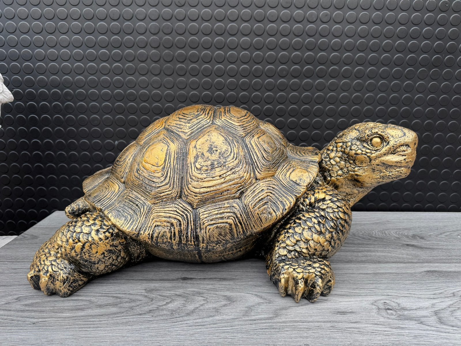 schildpad (goud/zwart) 23hoog 60breed, Verzamelen, Ophalen of Verzenden, Nieuw, Dier