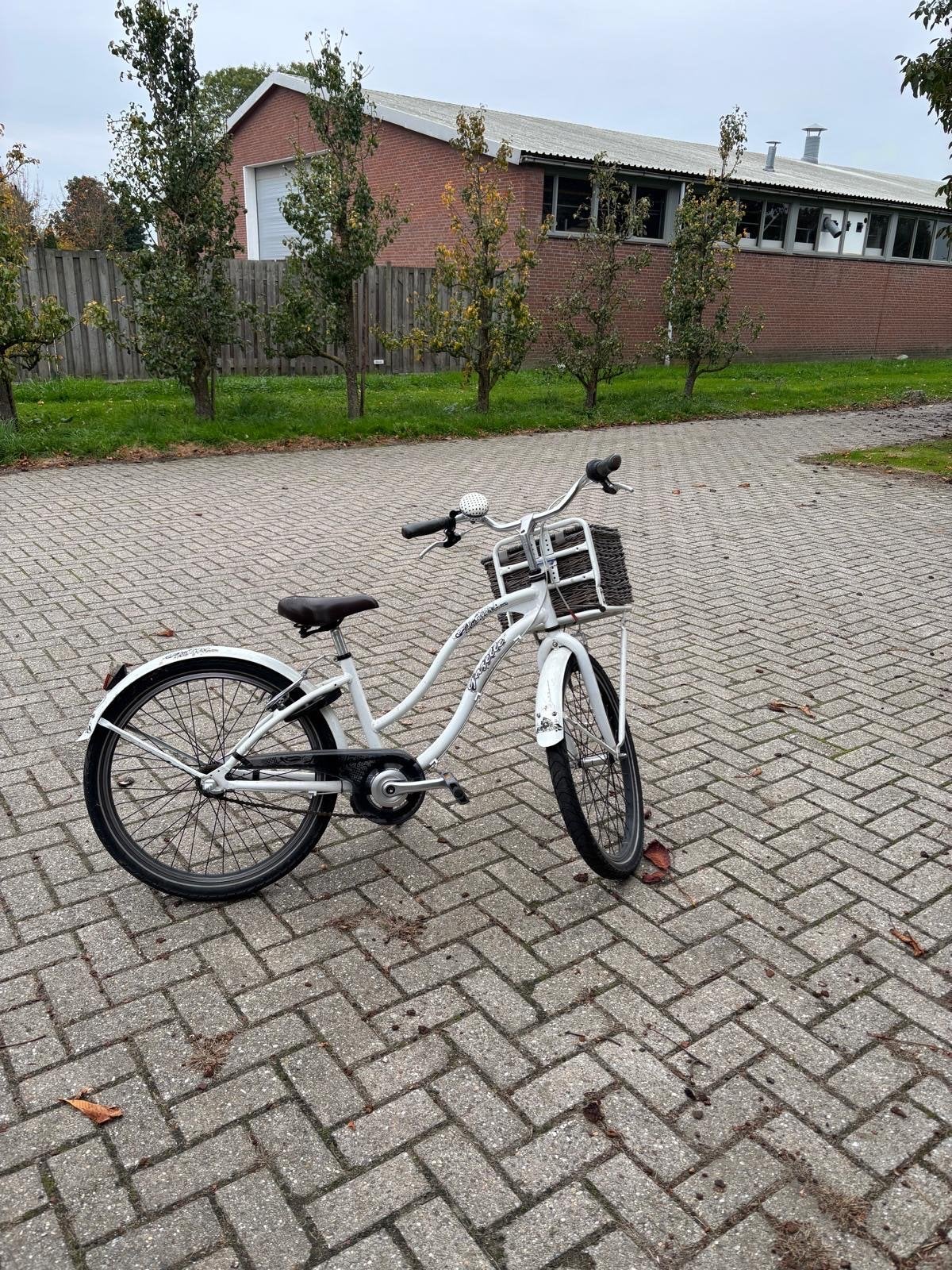 Gazelle Meisjesfiets - Wit met mandje, Ophalen, Gebruikt, Terugtraprem, 24 inch