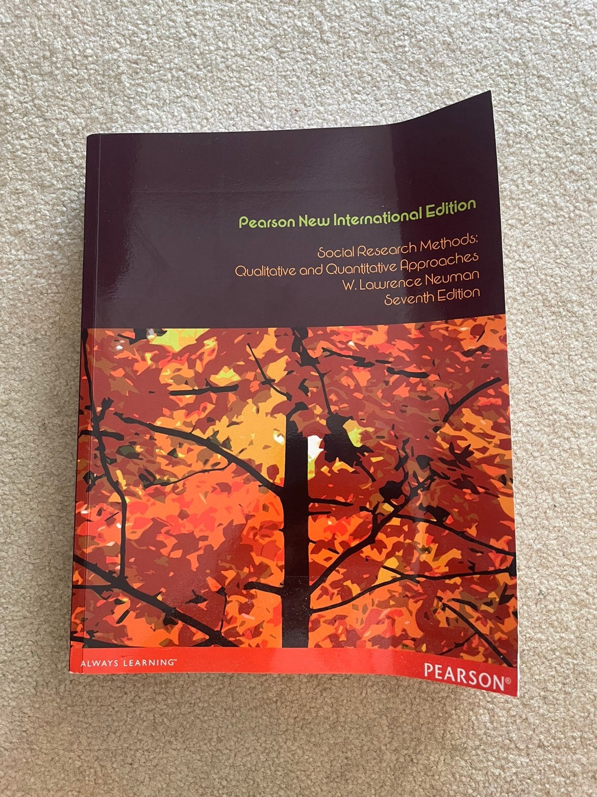 Social Research Methods PNIE, Ophalen of Verzenden, Alpha, Zo goed als nieuw, WO