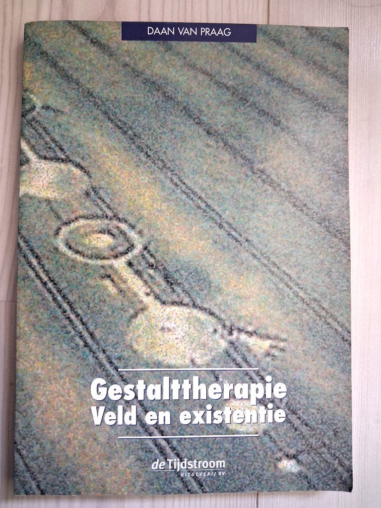 Boek Gestalttherapie Daan van Praag, Boeken, Ophalen of Verzenden, Gelezen, Daan van Praag