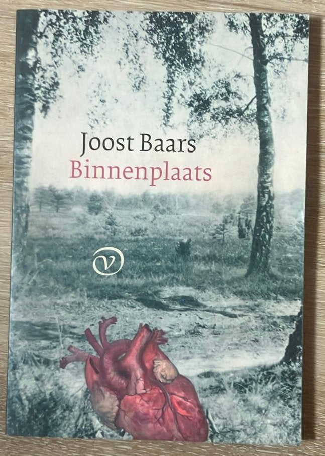 Joost Baars - Binnenplaats, Ophalen of Verzenden, Gelezen, Joost Baars