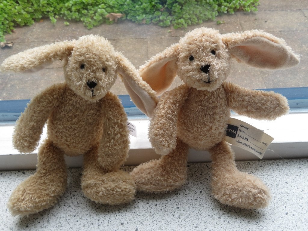 Konijn of konijntje van Hema kleine maat ca 21 cm, Kinderen en Baby's, Speelgoed | Knuffels en Pluche, Hema, Konijn, Ophalen of Verzenden