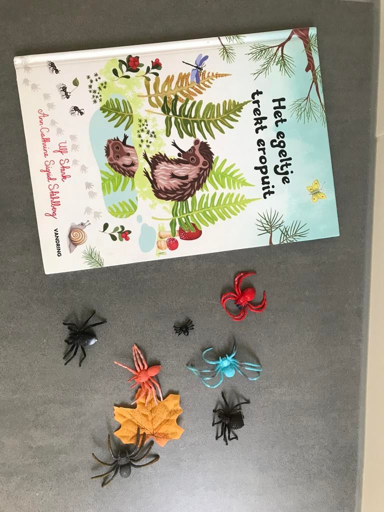 Boek ‘Het egeltje trekt eropuit’ met kleine spinnetjes, Boeken, Ophalen of Verzenden, Gelezen, Non-fictie