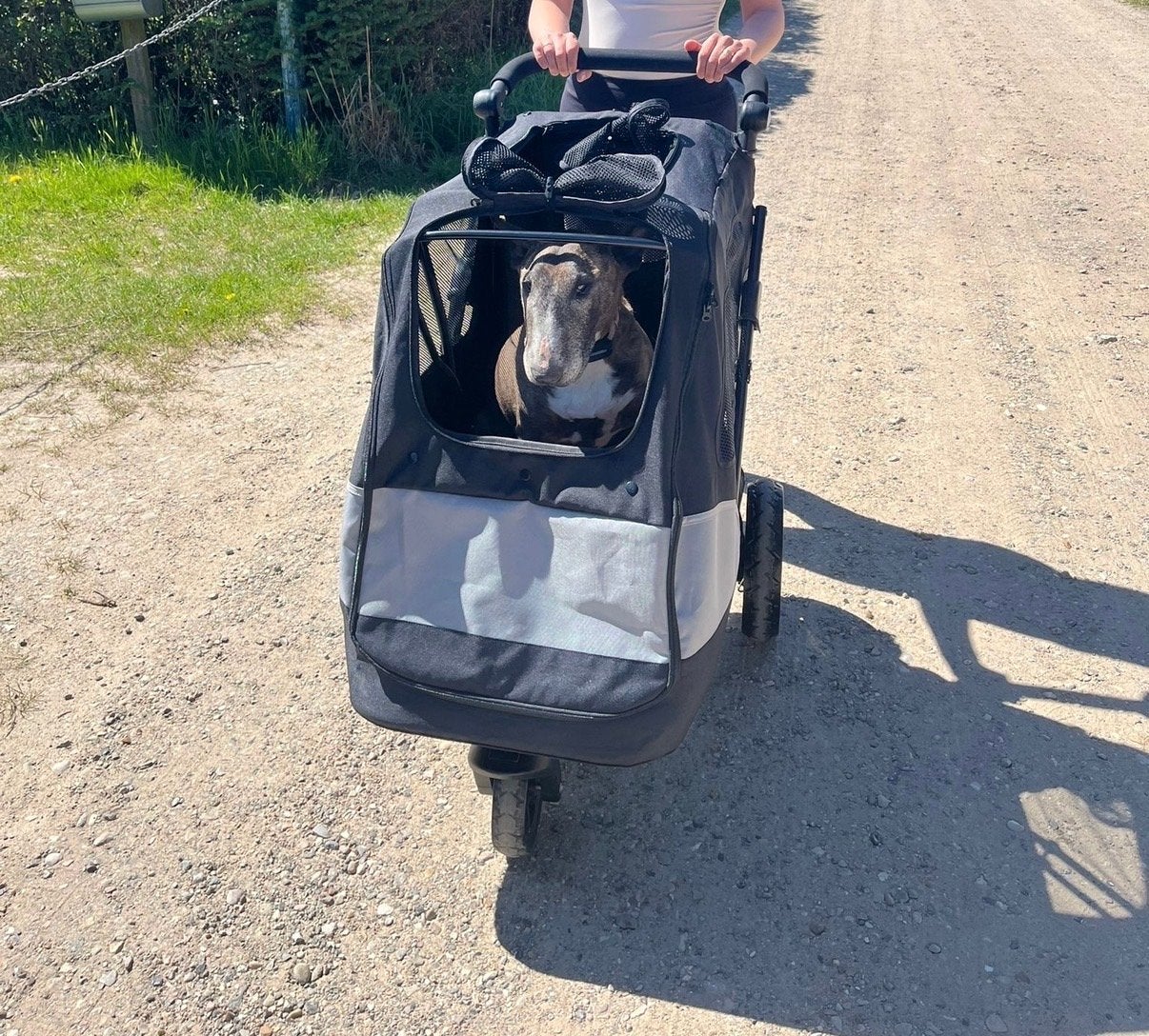 Hondenkar / buggy / wagen, Ophalen of Verzenden, Zo goed als nieuw