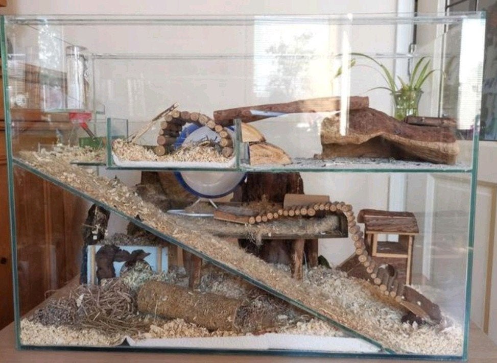 mooie gerbilarium hamster hok, Ophalen, 60 tot 90 cm, Minder dan 75 cm, Zo goed als nieuw