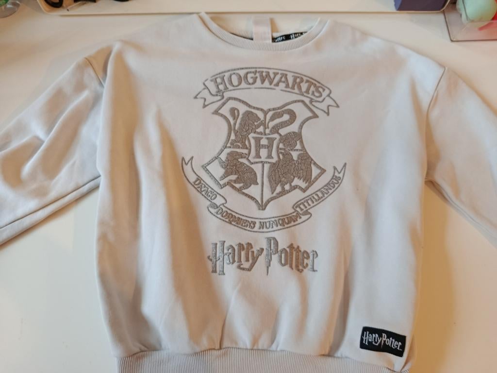Harry Potter Hogwarts Trui Maat 122-128, Kinderen en Baby's, Ophalen of Verzenden, Zo goed als nieuw, Jongen of Meisje, Trui of Vest