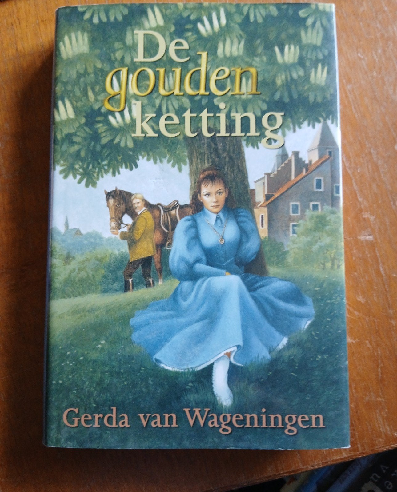 De Gouden Ketting - Gerda van Wageningen (VCL-serie), Ophalen of Verzenden, Gelezen, Gerda van Wageningen, Nederland