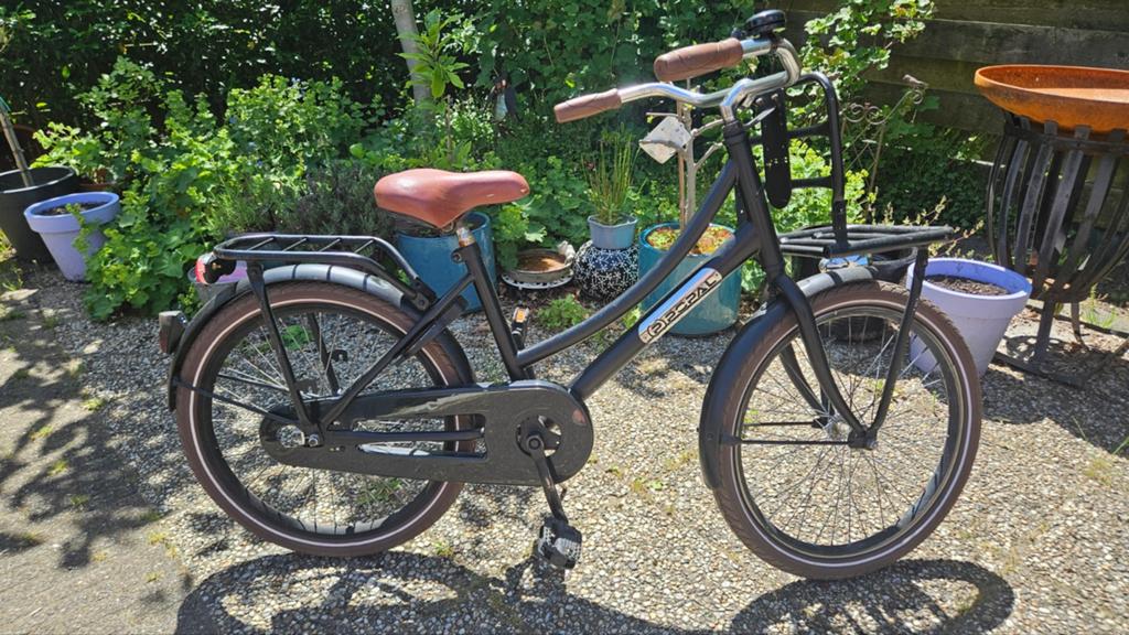 Popal Daily Dutch Basic 22 inch transportfiets meisjes, Fietsen en Brommers, Fietsen | Meisjes, Ophalen, Terugtraprem, 22 inch