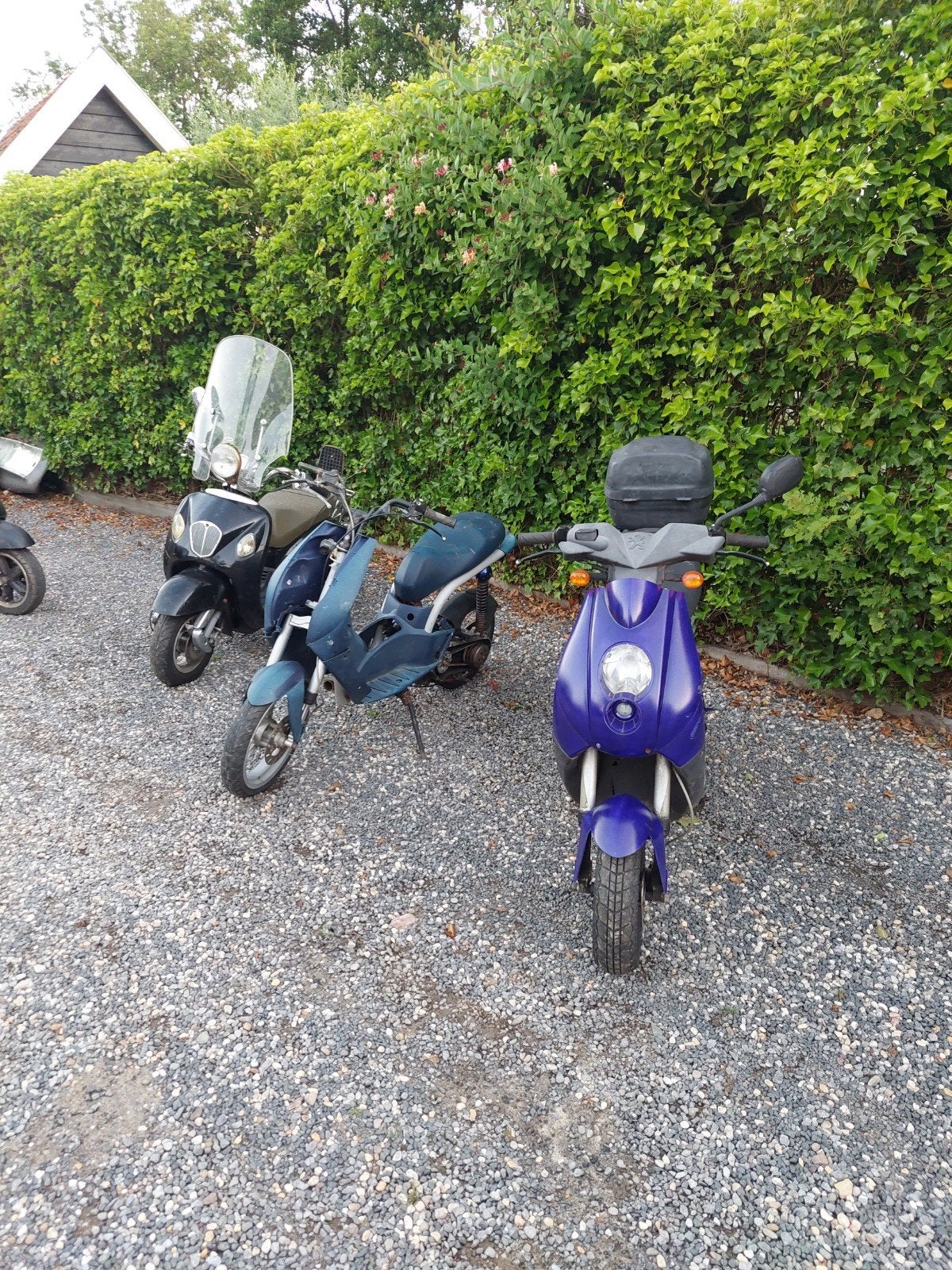 Peugot Ludix, opknapper., Ophalen, Gebruikt, Frame, Peugot