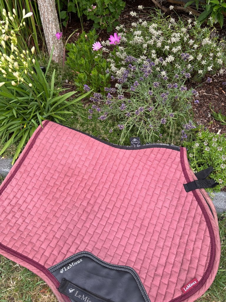 LeMieux Suede Close Contact – oudroze (Rosewood/Dusty Rose), Meerkleurig, Verzenden, Zo goed als nieuw, Pony (P)