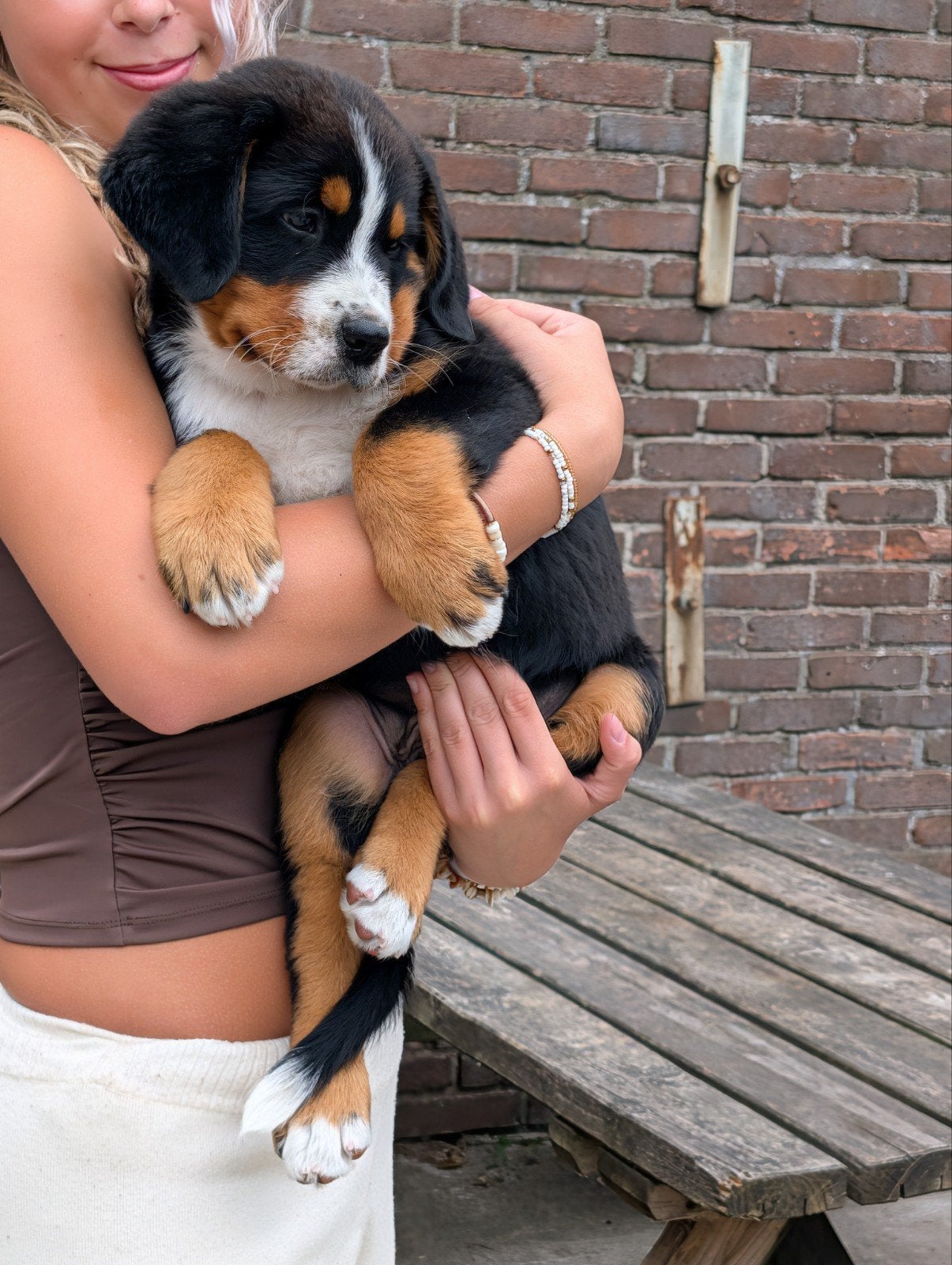 Super leuke lieve pup te koop!!