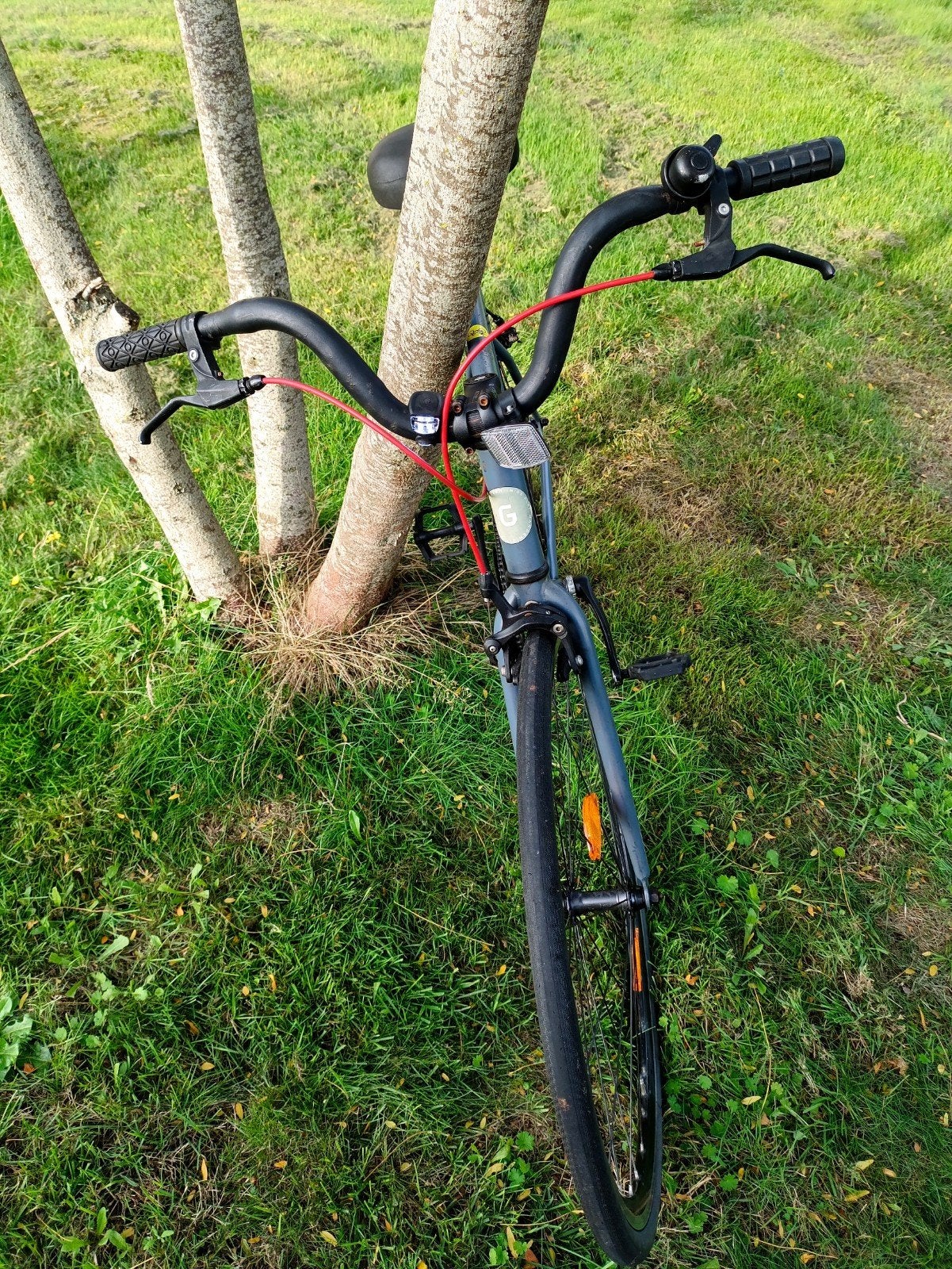 Foto 7 van Elops Speed 500 (Decathlon) - Single Speed / Fixie (Maat L)