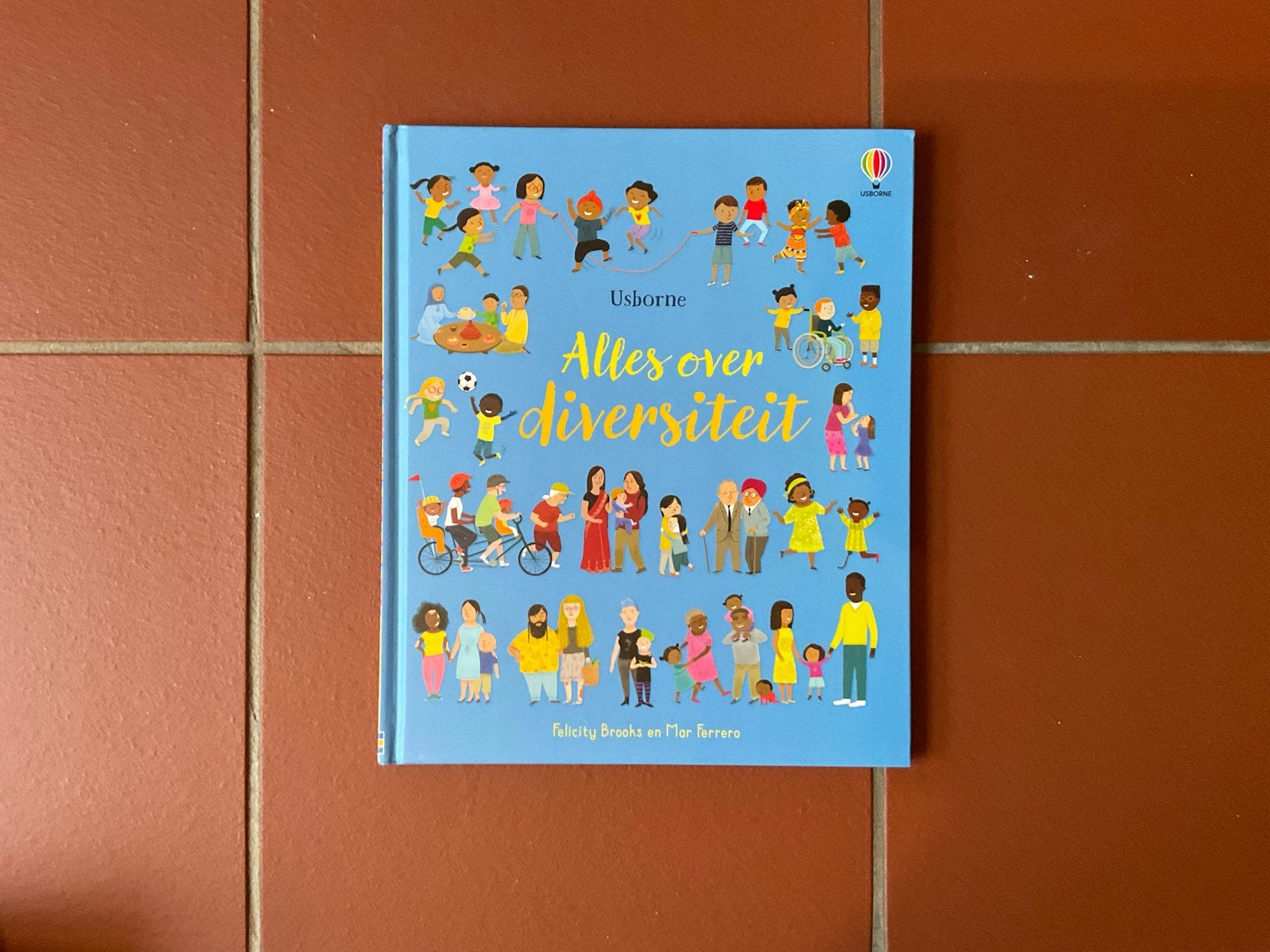 Usborne: Alles over diversiteit - Kinderboek, Boeken, Ophalen of Verzenden, Zo goed als nieuw, Non-fictie