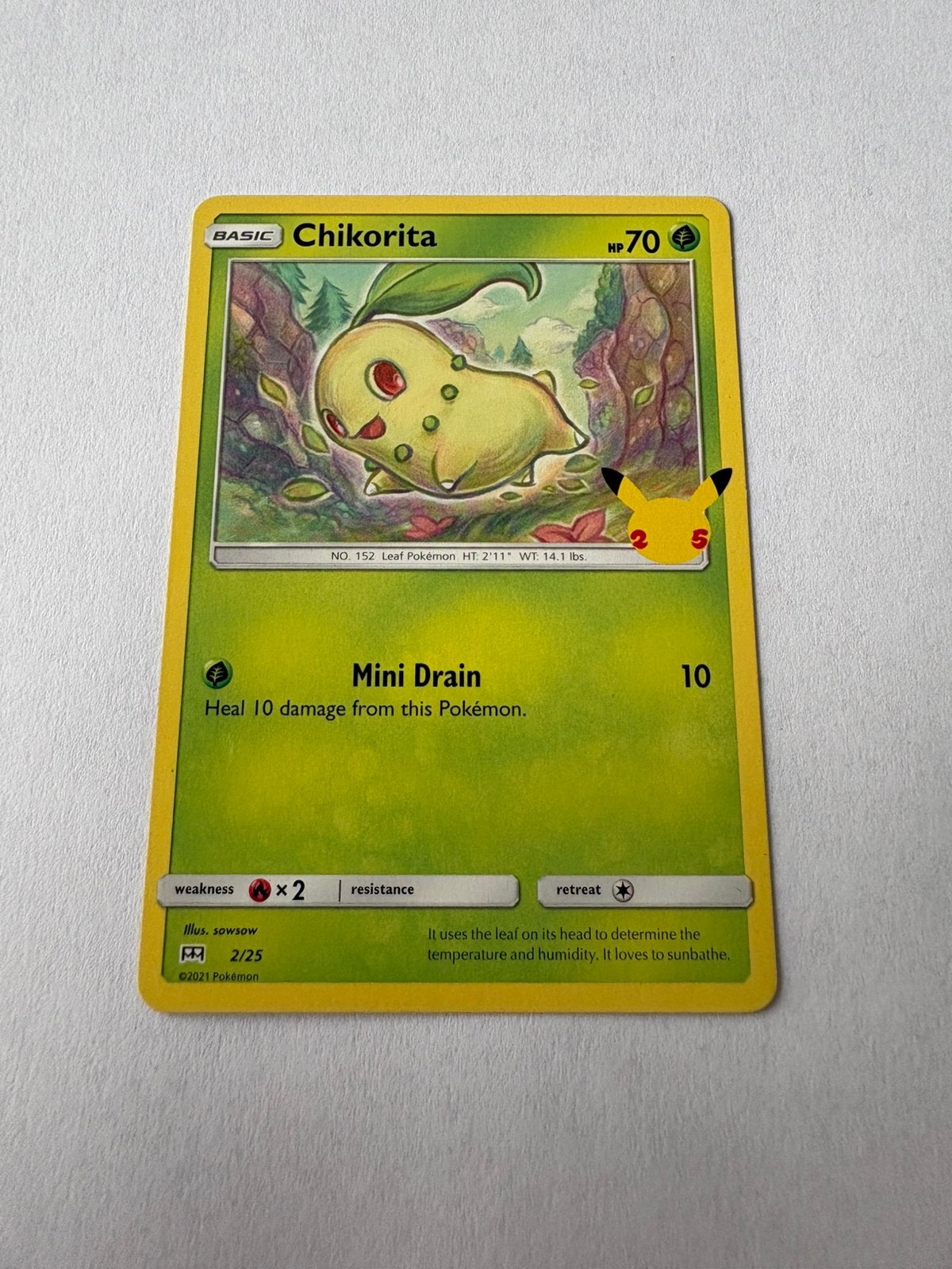 Pokémon kaart Basic Chikorita, Hobby en Vrije tijd, Ophalen of Verzenden, Nieuw