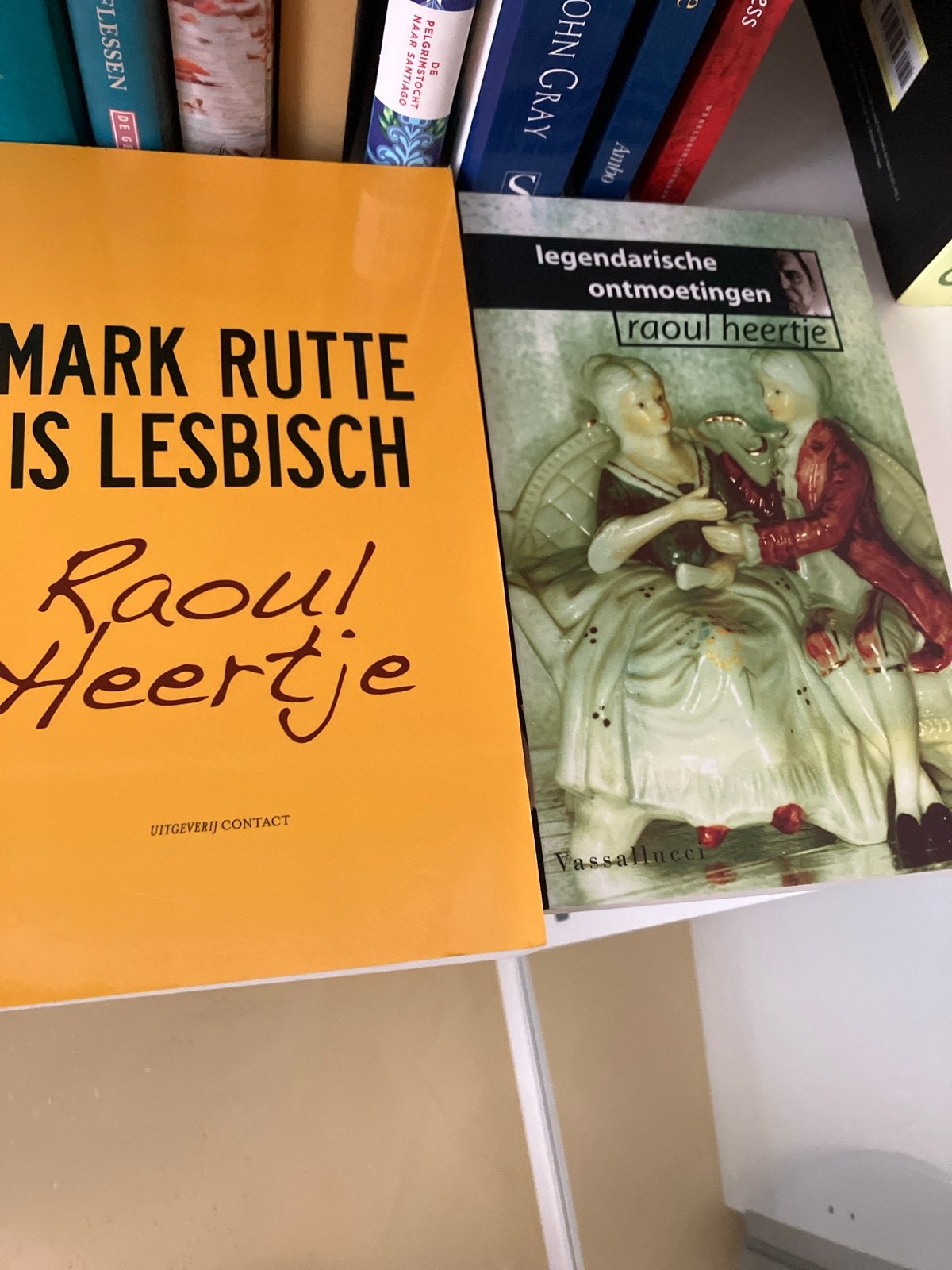 Boeken Raoul Heertje: Mark Rutte is Lesbisch & Legendarische, Ophalen of Verzenden, Gelezen, Nederland