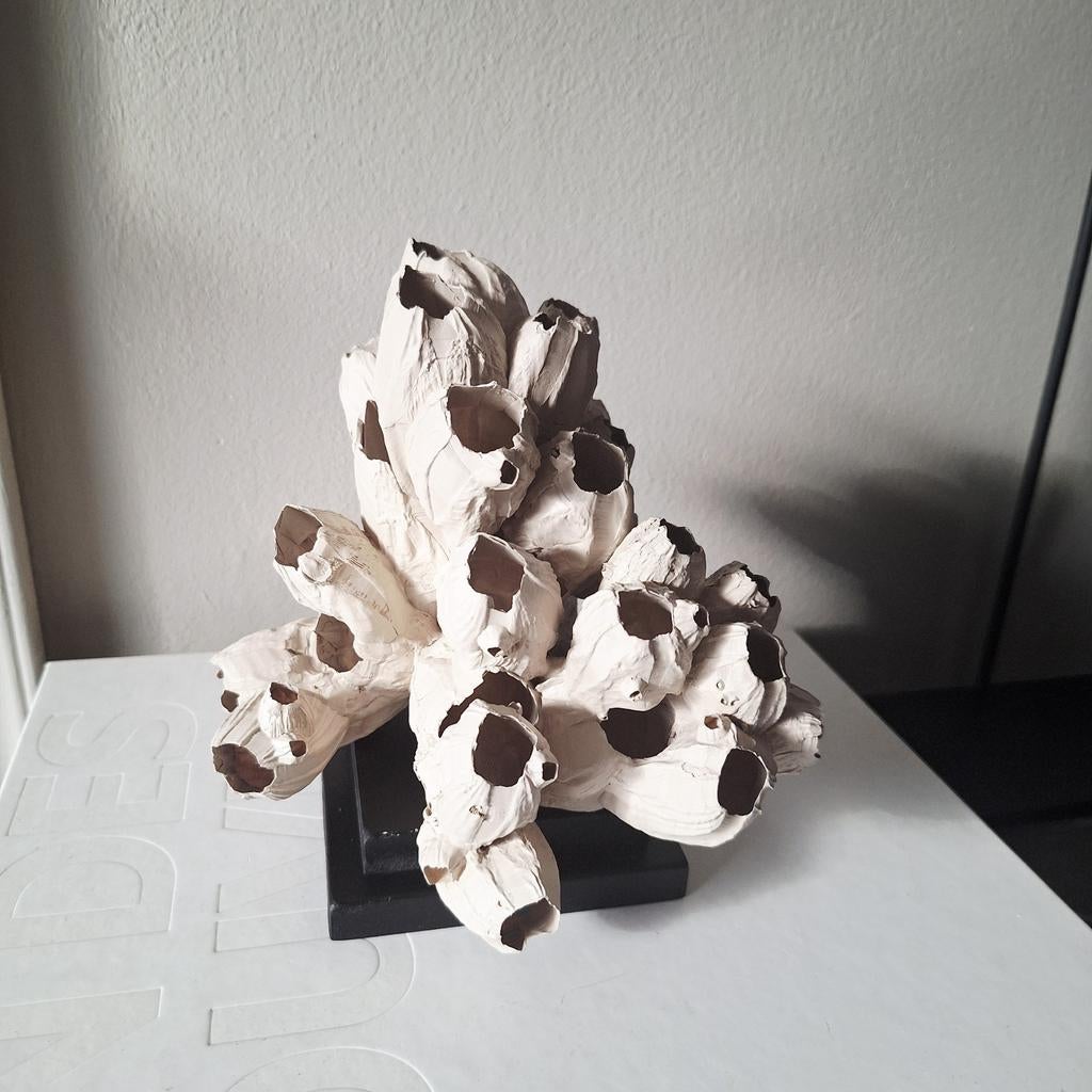 Mooi beige zeepokken cluster ornament op zwarte voet, Nieuw, Ophalen of Verzenden, X, X