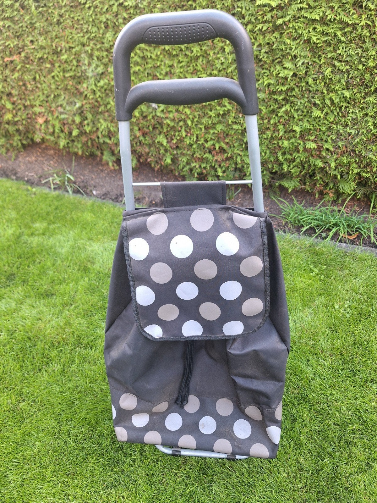 Boodschappen trolley, Ophalen, Gebruikt, 30 cm of meer