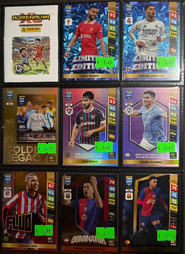 Panini Fifa 365 voetbal kaarten, Hobby en Vrije tijd, Stickers en Plaatjes, Ophalen of Verzenden, Zo goed als nieuw, Meerdere plaatjes