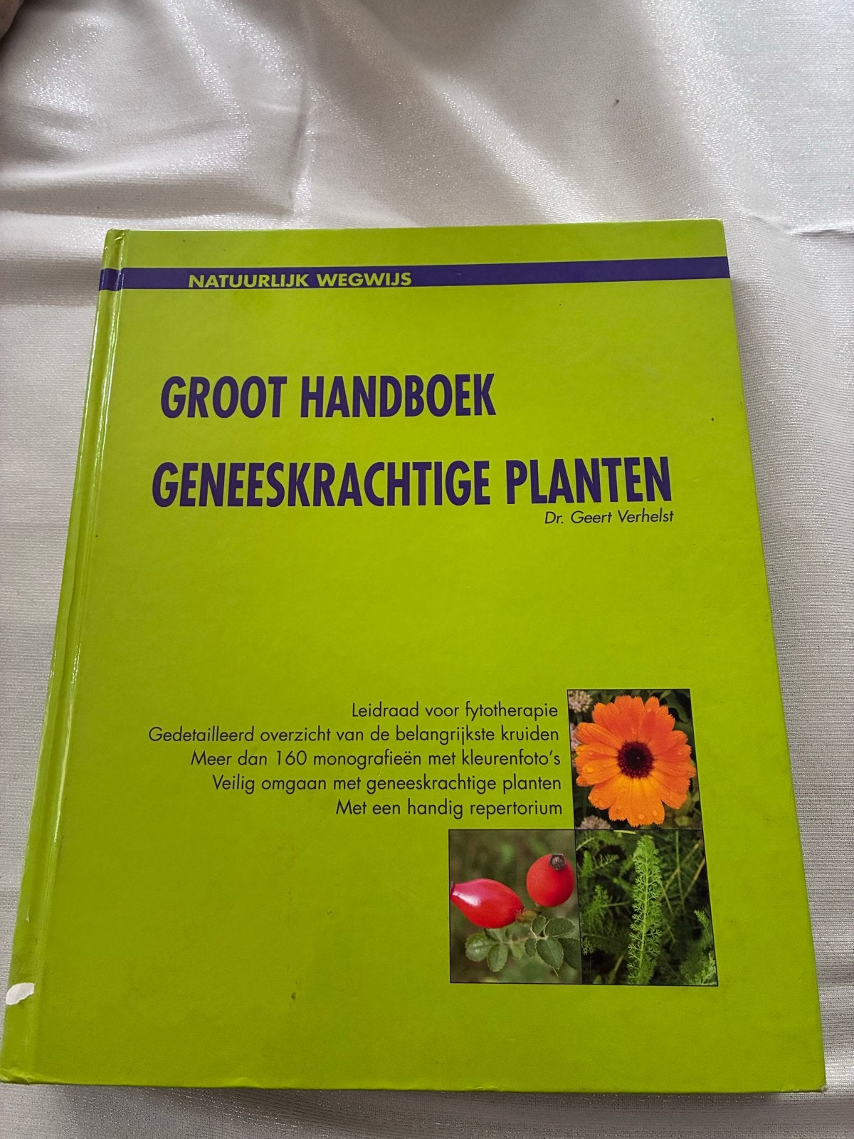 Groot Handboek Geneeskrachtige Planten - Dr. Geert Verhelst, Ophalen of Verzenden, Zo goed als nieuw, Kruiden en Alternatief