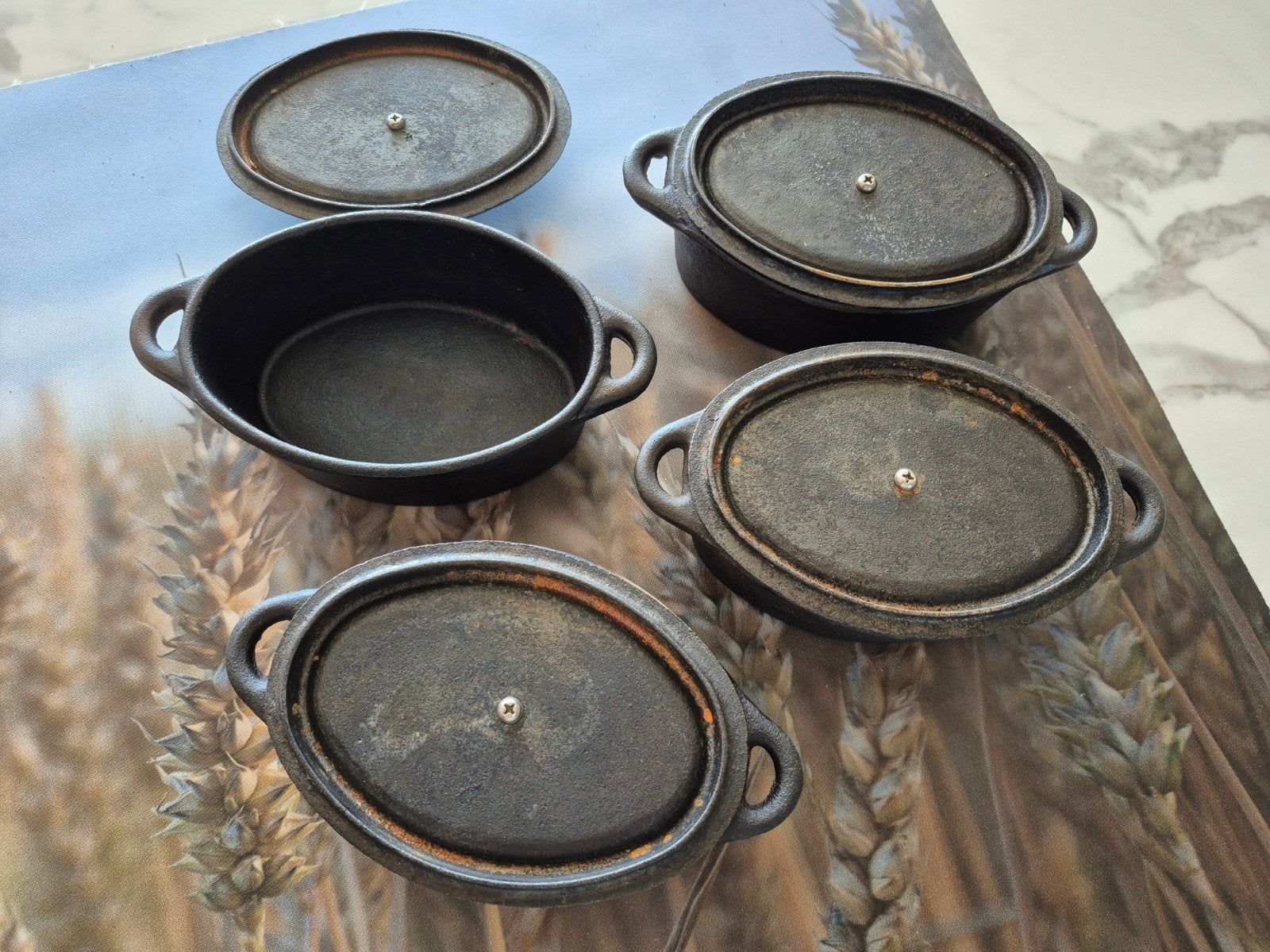 Set van 4 gietijzeren mini-braadpannen met deksel, Gebruikt, Met deksel, Ophalen of Verzenden, Overige merken