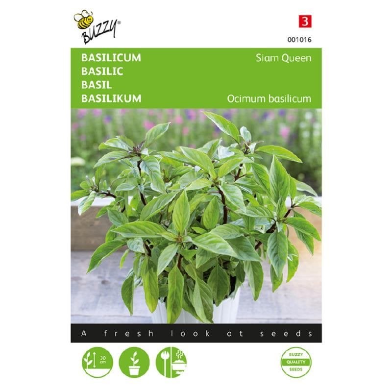 Buzzy Seeds Basilicum Siam Queen kruidenzaden - nieuw, Ophalen of Verzenden, Voorjaar, Volle zon, Zaad