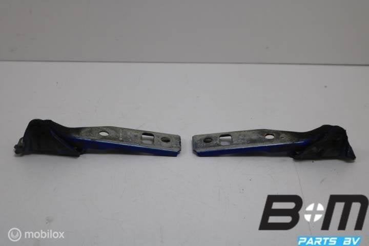 Set motorkapscharnieren VW Golf 4 LW5Z, Gebruikt