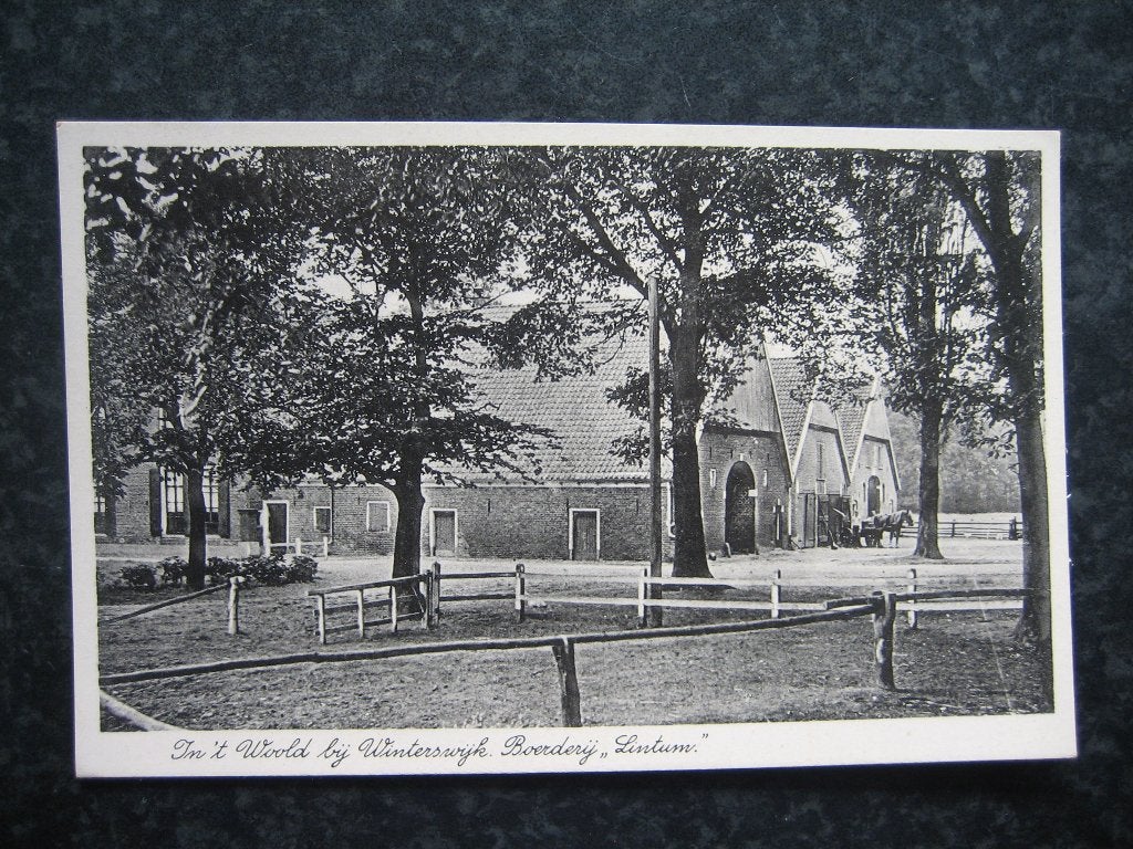 WINTERSWIJK  WOOLD  Boerderij Lintum, Ophalen of Verzenden, 1940 tot 1960, Gelderland