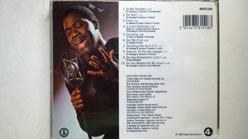 Will Downing - Will Downing, Ophalen of Verzenden, Zo goed als nieuw