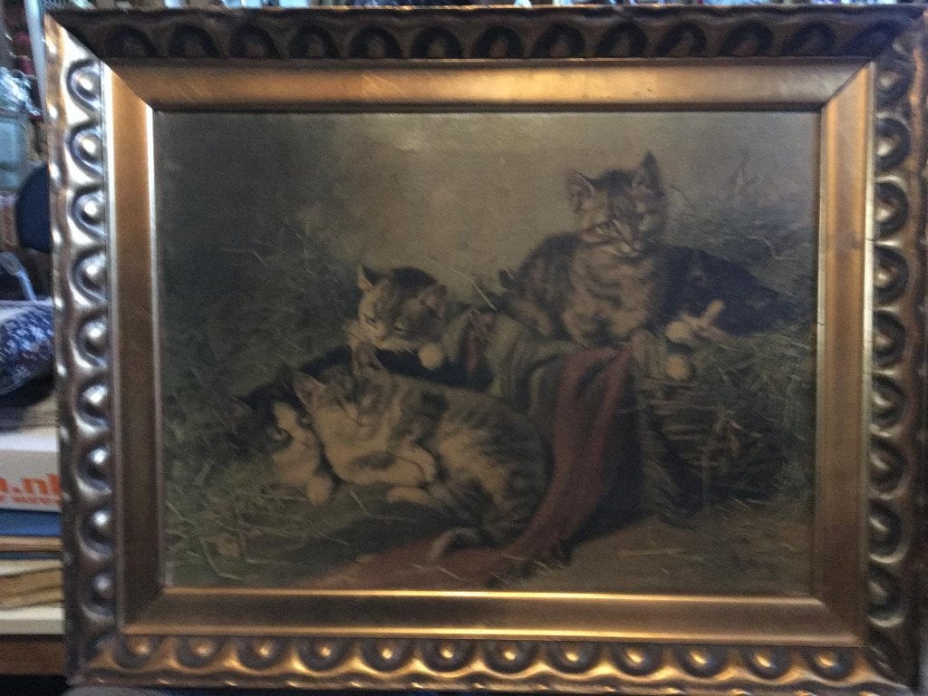 Lithografie met 6 schattige poesjes in het hooi, Ophalen, Gebruikt, Voor 1940, Dier