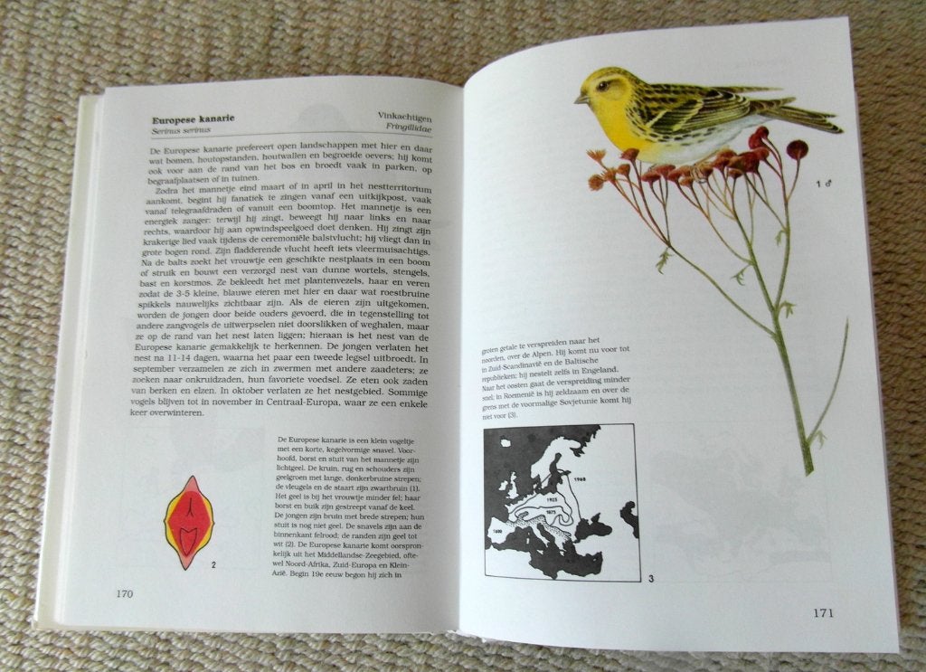 Zangvogels / Rebo natuurgids, Ophalen of Verzenden, Zo goed als nieuw, Vogels